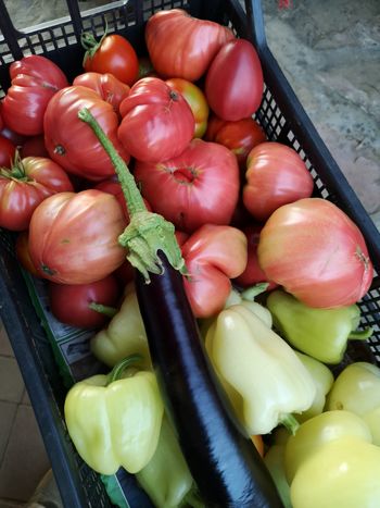 KORONA PRIDELKI: Krompir slonček, viseča buča, XXL paradižnik, … pa pri vas?