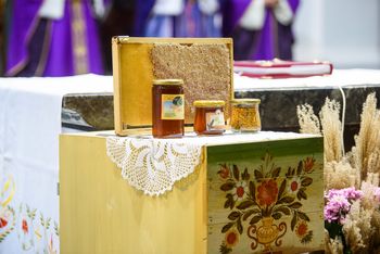 Vabljeni k spremljanju 9. čebelarske maše iz Stične