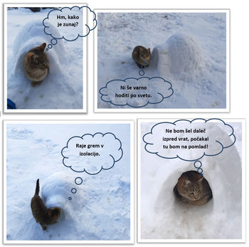 Prikupen strip »Miki v samoizolaciji« in razstava snežakov učencev šentviške šole