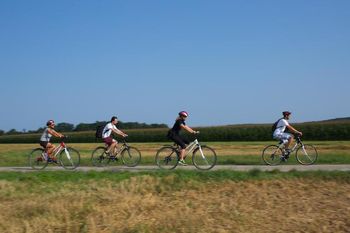Še letos kolesarska povezava od Samostana Stične do Jurčičeve Muljave