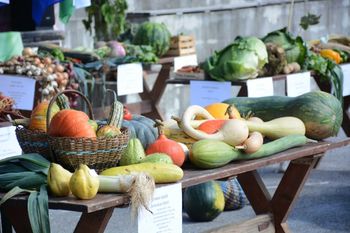 Tudi letos bodo na Lučarjevem Kalu zbirali Naj pridelke