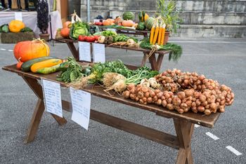 Na Lučarjevem Kalu že 20. izbirali naj pridelke in razglasili najlepša krajevna središča v občini