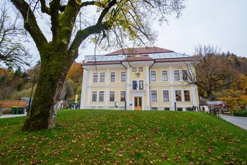 APILAB – Hiša kranjske čebele v Višnji Gori vabi…