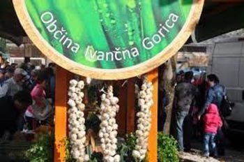 Javno naročilo: Organizator tržnice v Ivančni Gorici za leti 2022 in 2023