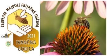 Ivančna Gorica prejemnica častnega naziva čebelam najprijaznejše občine
