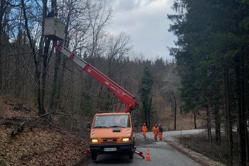 Izvajanje obrezovanja drevja in vejevja ob občinskih cestah