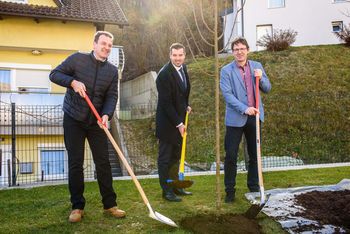 Pri Hiši kranjske čebele skupaj s Pošto Slovenije in Čebelarsko zvezo Slovenije začeli akcijo sajenja medovitih rastlin