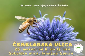 Vabljeni na čebelarsko ulico v Ivančno Gorico
