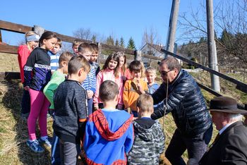 Skupaj z učenci sadimo medovita drevesa in rastline