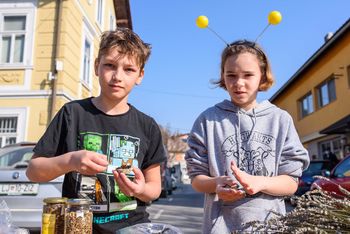 Vseslovenski dan sajenja medovitih rastlin v Ivančni Gorici v znamenju čebelarske ulice