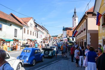 VIDEO: 25. Anin sejem v Višnji Gori