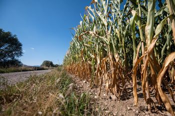 Prijava škode zaradi suše v letu 2022