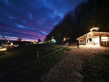 Na Velikem Kalu na ogled jaslice v naravni velikosti