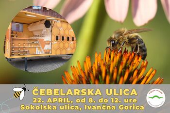 Na Čebelarski ulici tudi paviljon Medena zgodba