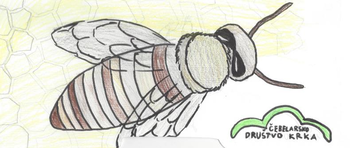 OŠ Zagradec sodeluje v natečaju #začebele – GLASUJMO