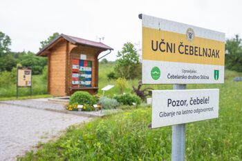 Prireditev v počastitev svetovnega dne čebel na OŠ Stična