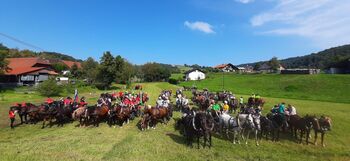 Višnjegorski konjarji uspešno organizirali tradicionalni pohod