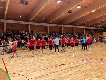 Rokometaši SVIŠa odvzeli točko državnim prvakom