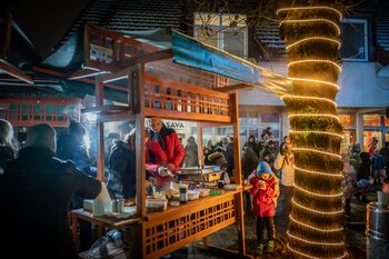 VIDEO: Prižig prazničnih luči in obisk svetega Miklavža