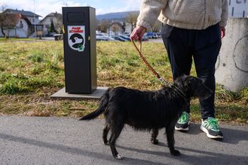 Koristna informacija za številne lastnike psov