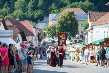 FOTO: 27. Anin sejem v Višnji Gori