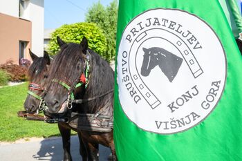 Pohod višnjanskih konjarjev obiskali konjarji iz vseh koncev Slovenije