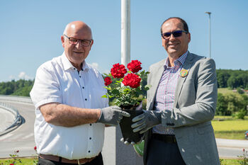Nasad vrtnic kot poklon 30-letnici Občine Ivančna Gorica