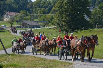 Odlično organiziran 25. jubilejni pohod Društva prijateljev konj Višnja Gora