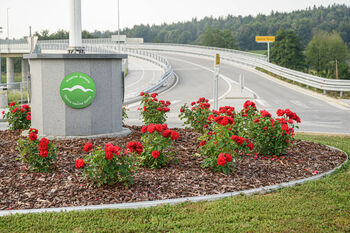 Vrtnice iz Hirschaida krasijo krožišče Malo Hudo