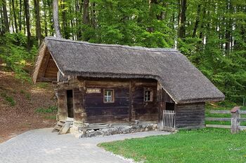 S pridobljenimi sredstvi do prenove Krjavljeve koče in čebelnjaka na Jurčičevi domačiji