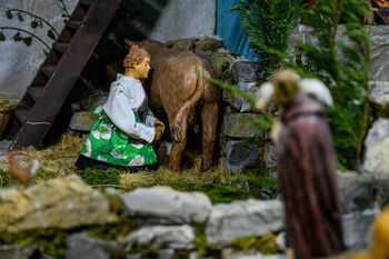 Stiške jaslice v znamenju doline reke Krke Stiške jaslice v znamenju doline reke Krke