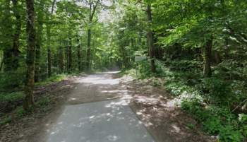 Začelo se bo asfaltiranje odseka ceste Valična vas - Orlaka