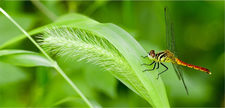 TURISTIČNO DRUŠTVO ZELENA JAMA