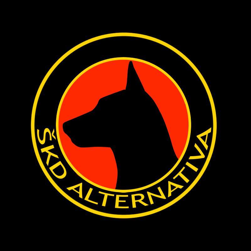 ŠKD Alternativa Vojnik