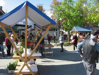 Sejem Vse za vrt in dom