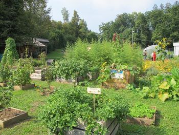 Vabilo na predavanje »Veš, kaj ješ?«