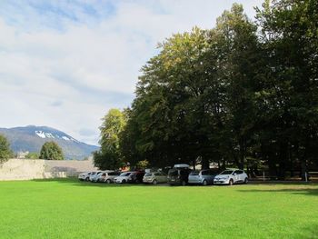 Umik parkirnih površin iz grajskega parka