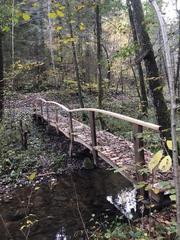 Projekti participativnega proračuna se nadaljujejo Projekti participativnega proračuna se nadaljujejo