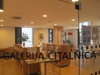 Portret Alenke Bole Vrabec v Galeriji Čitalnica