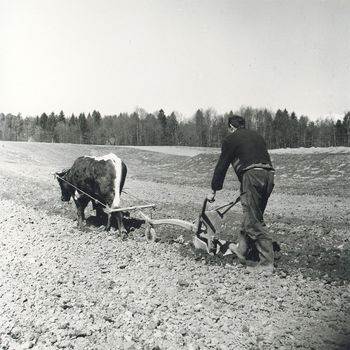 Ledinska imena so pomemben del naše dediščine