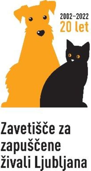 Izziv Zavetišča Ljubljana - 500 kartonastih mačk v 5 dneh