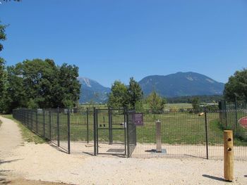 Pasji park odprt od 1. avgusta