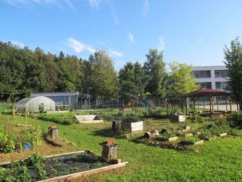 Med nagrajenci natečaja»Biodiverziteti najbolj prijazen vrt« tudi radovljiški učni vrt