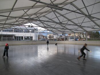 Začenja se sezona na radovljiškem drsališču