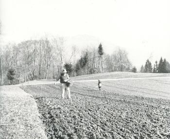 Ledinska imena v KO Dobrava in Zaloše