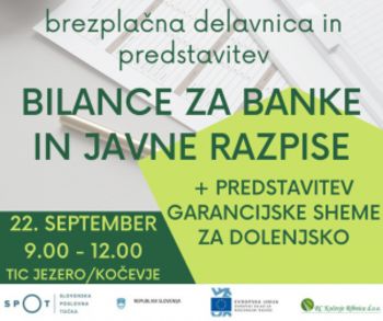 Brezplačna delavnica: PRIPRAVA BILANC ZA BANKE IN JAVNE RAZPISE in PREDSTAVITEV GARANCIJSKE SHEME ZA DOLENJSKO