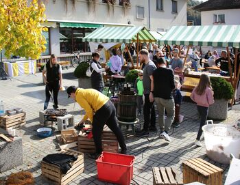 Zelena Sodražica 2025