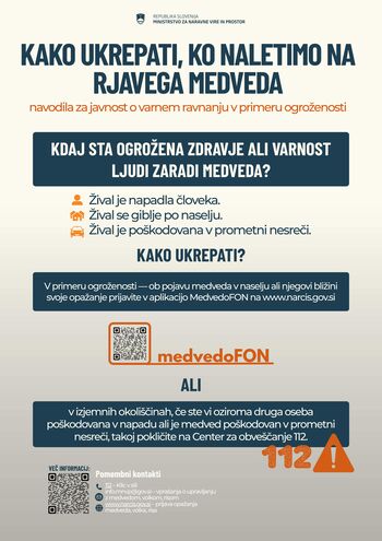 Ravnanja ob srečanju z rjavim medvedom