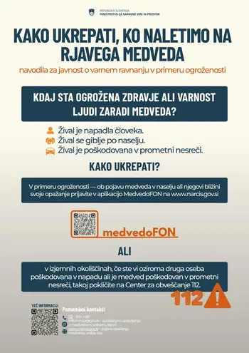 Ravnanja ob srečanju z rjavim medvedom
