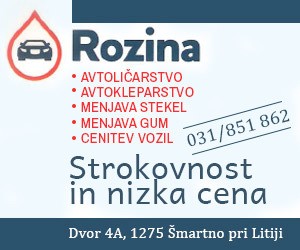 AVTOSERVIS BLAŽ ROZINA S.P.